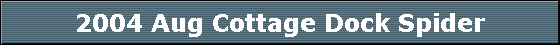 2004 Aug Cottage Dock Spider