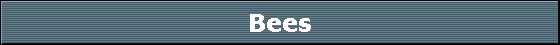 Bees