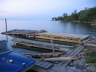 2004 Dock Cottage and Scenery0038